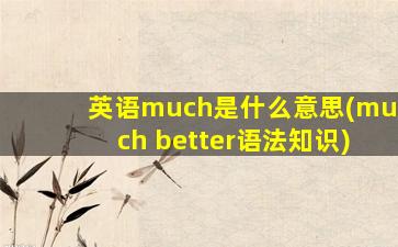 英语much是什么意思(much better语法知识)